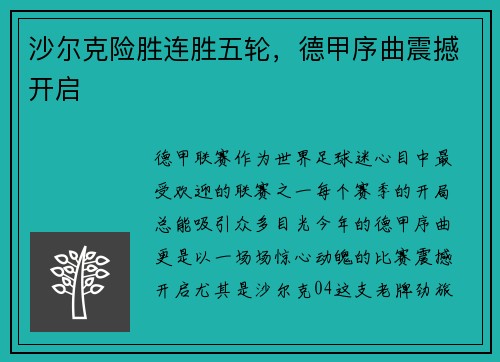 沙尔克险胜连胜五轮，德甲序曲震撼开启